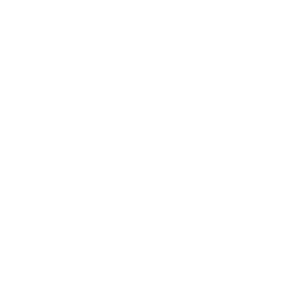 Villa Dvori logo